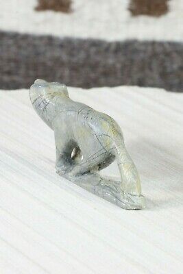 Wolf Zuni Fetish Carving - Calvin Weeka - High Lonesome Trading