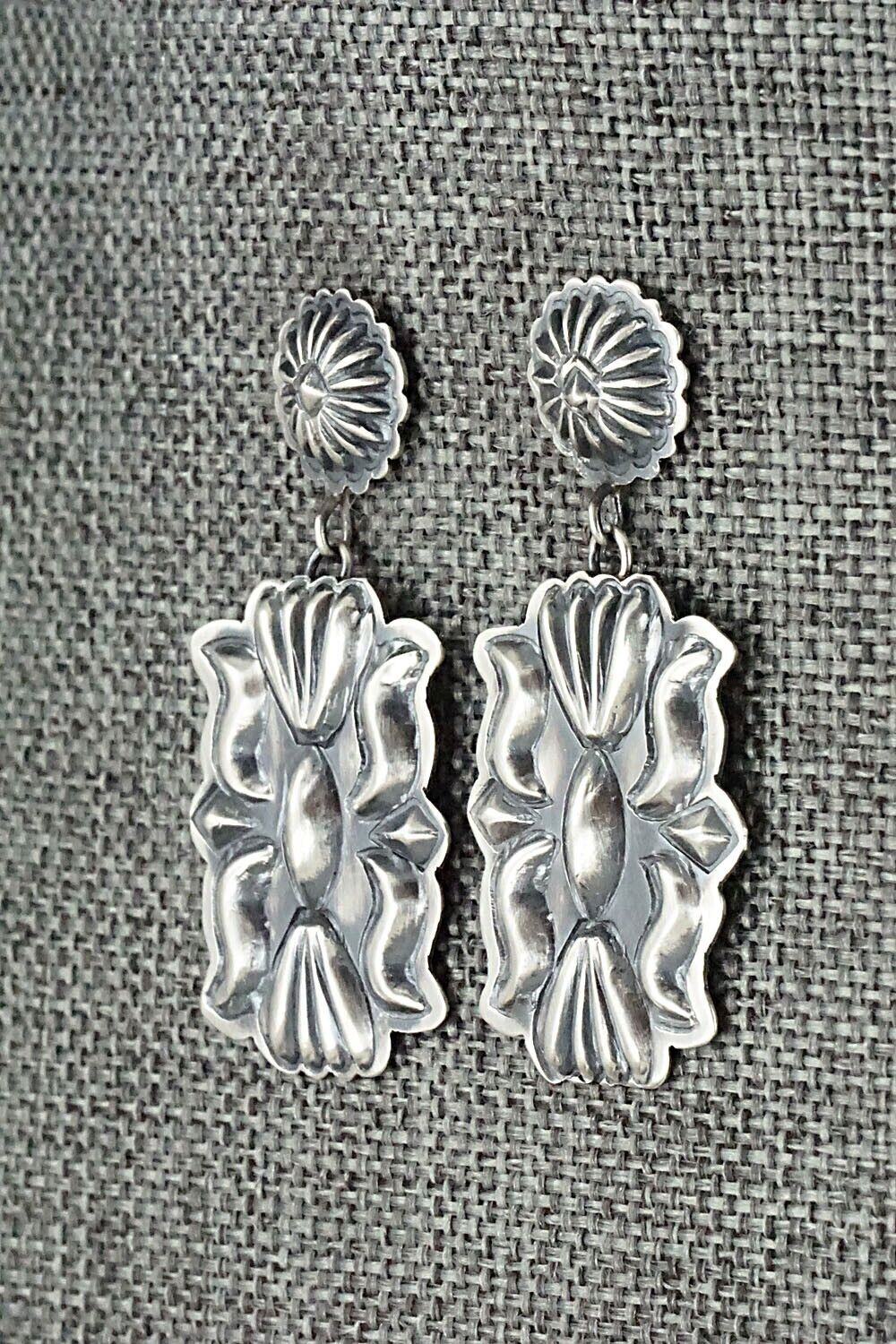 Sterling Silver Earrings - Terry Charlie