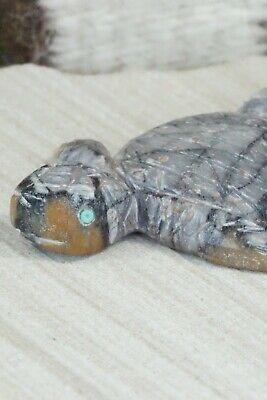 Turtle Zuni Fetish Carving - Allison White - High Lonesome Trading