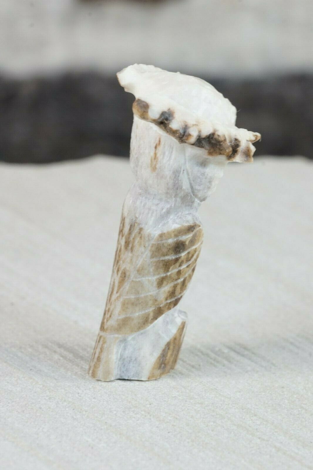 Owl Zuni Fetish Carving - Chris Peina - High Lonesome Trading
