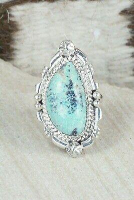 Turquoise & Sterling Silver Ring - Daniel Benally - Size 6 - High Lonesome Trading