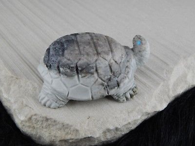 Turtle Zuni Fetish Carving - Darrell Westika - High Lonesome Trading