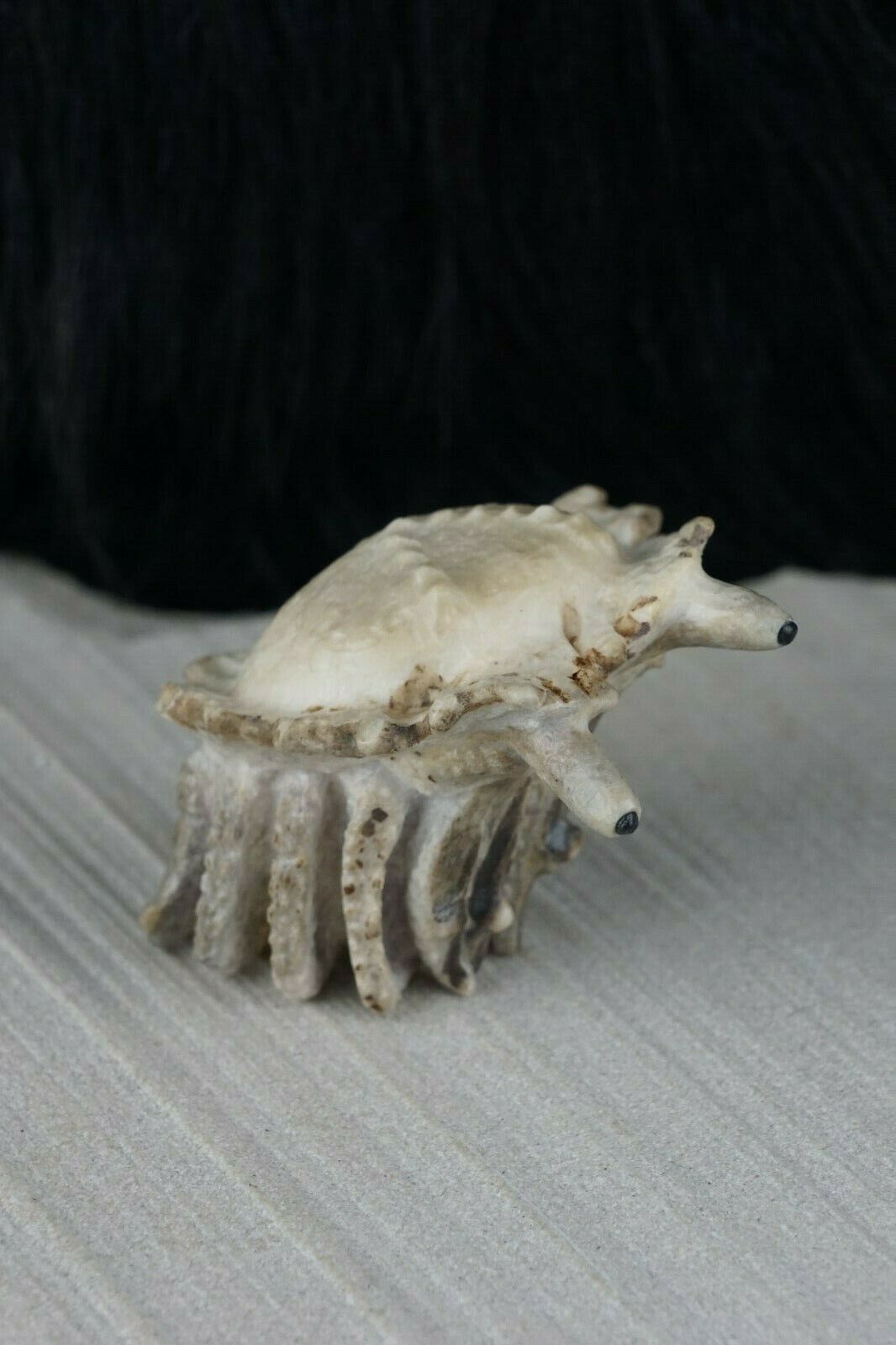 Hermit Crab Zuni Fetish Carving - Maxx Laate - High Lonesome Trading