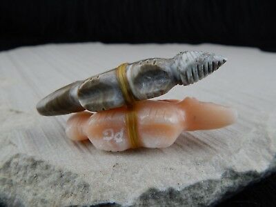 Wolf Zuni Fetish Carving - Peter Gasper - High Lonesome Trading