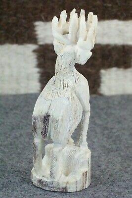 Deer Zuni Fetish Carving - Jerrold Lahaleon - High Lonesome Trading