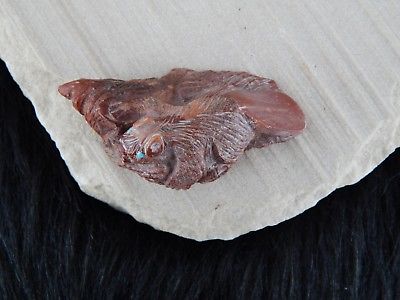 Badger Zuni Fetish Carving - Evan Cachini - High Lonesome Trading