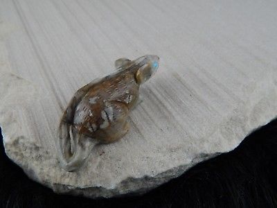 Mouse Zuni Fetish Carving - Lance Cheama - High Lonesome Trading