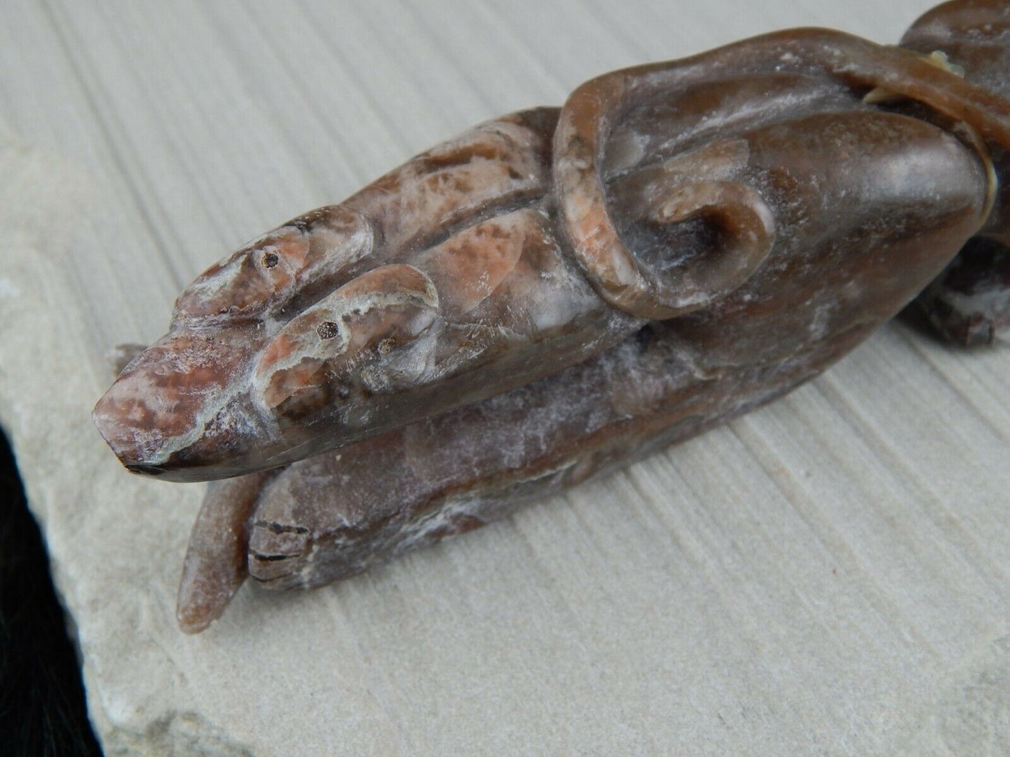 Bear Zuni Fetish Carving - Rick Kallestewa - High Lonesome Trading