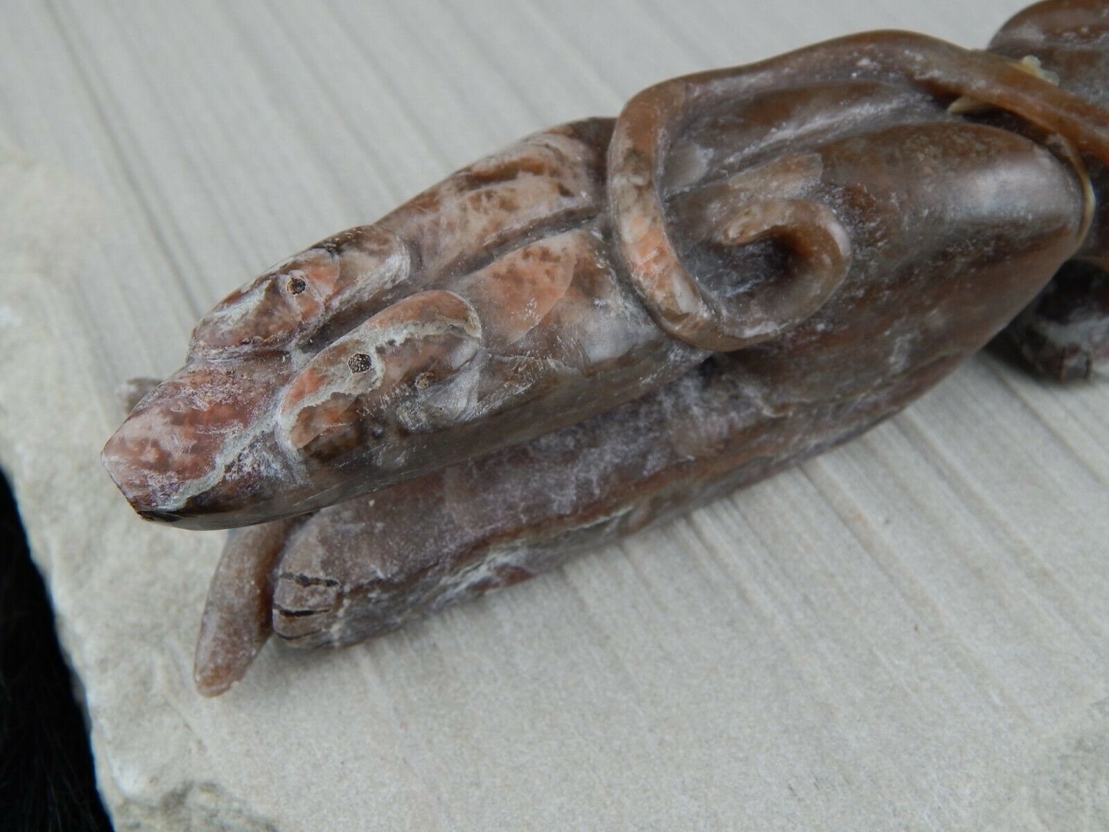 Bear Zuni Fetish Carving - Rick Kallestewa - High Lonesome Trading