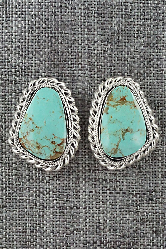Turquoise and Sterling Silver Earrings - Sharon McCarthy