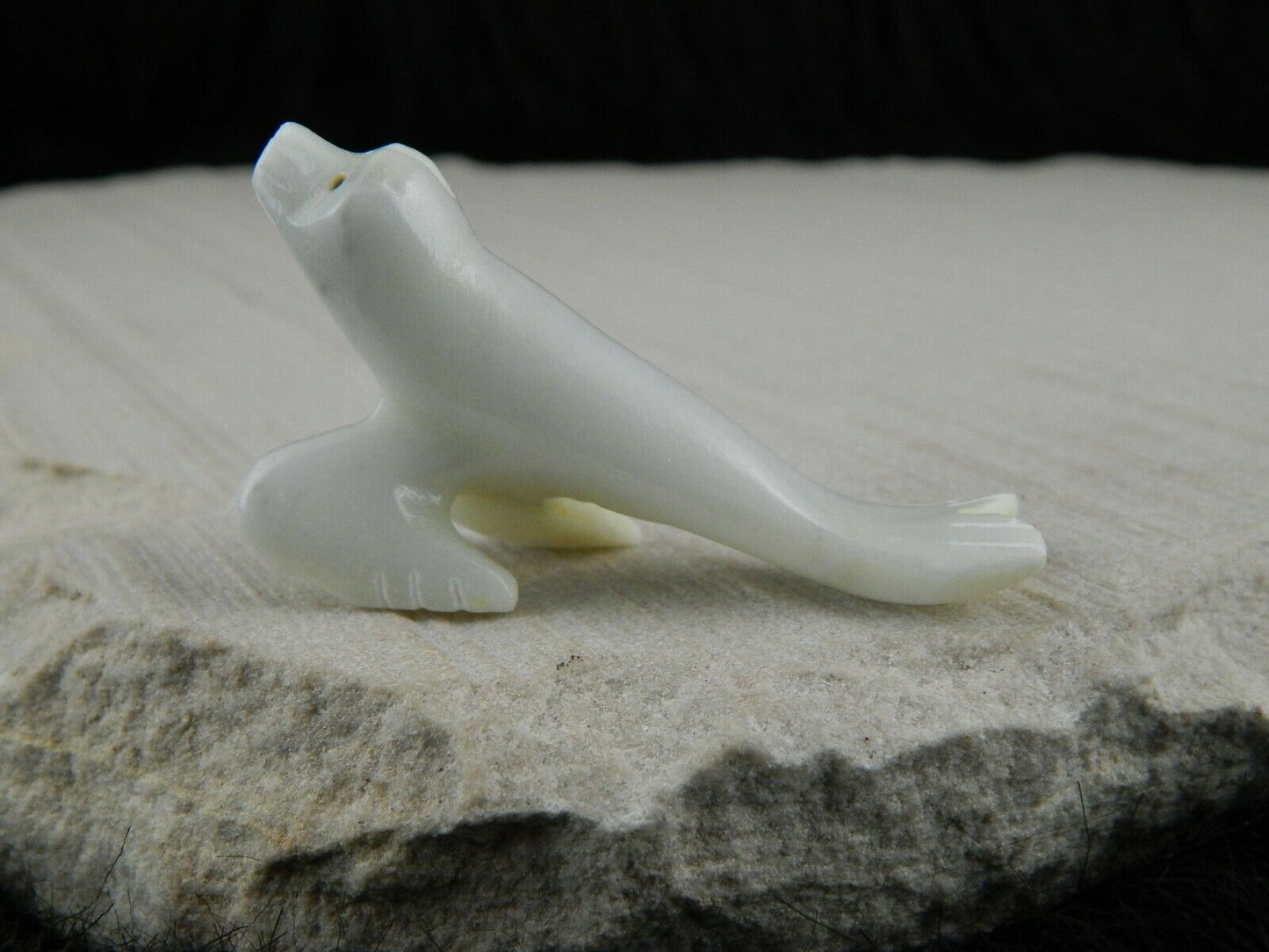 Seal Zuni Fetish Carving - Russell Shack - High Lonesome Trading