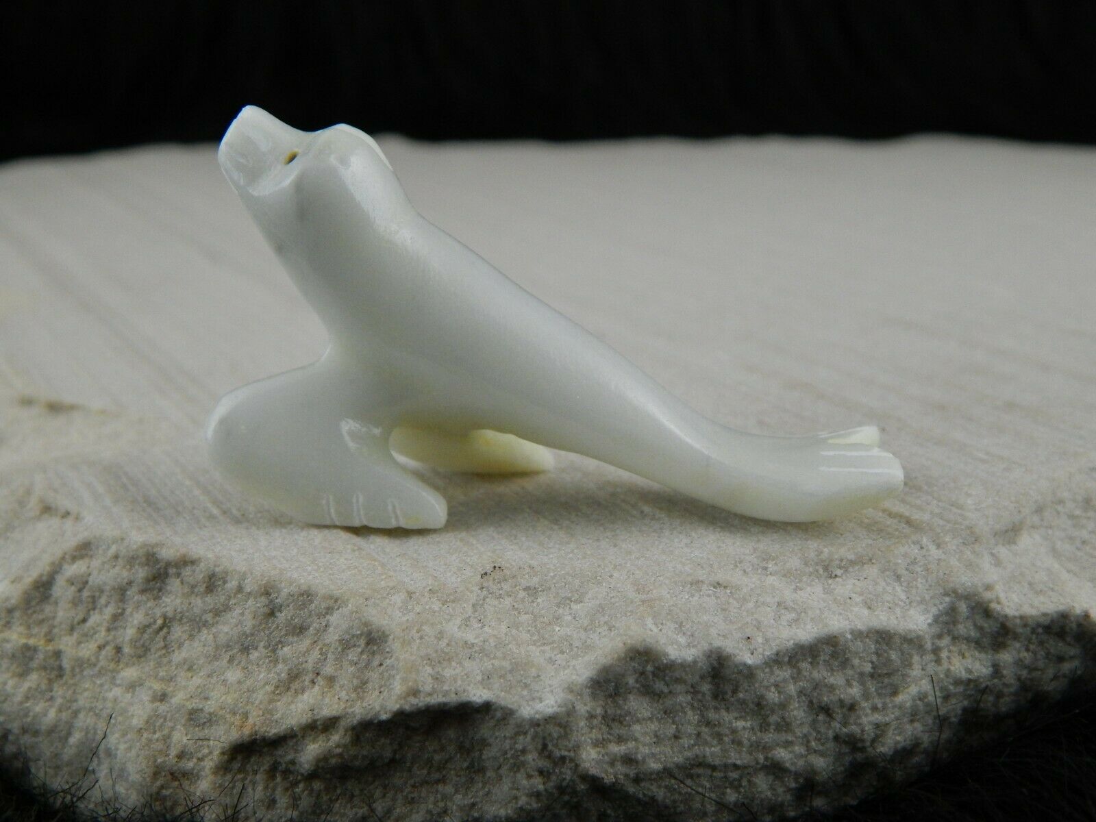 Seal Zuni Fetish Carving - Russell Shack - High Lonesome Trading