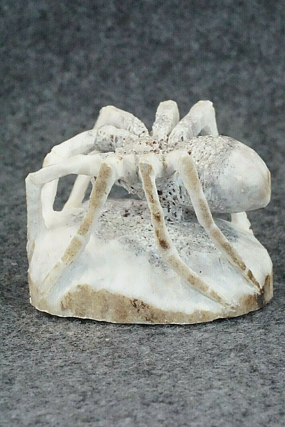 Spider Zuni Fetish Carving - Lewis Malie Jr.