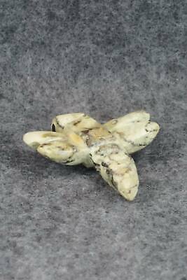 Dragonfly Zuni Fetish Carving - Justin Red Elk