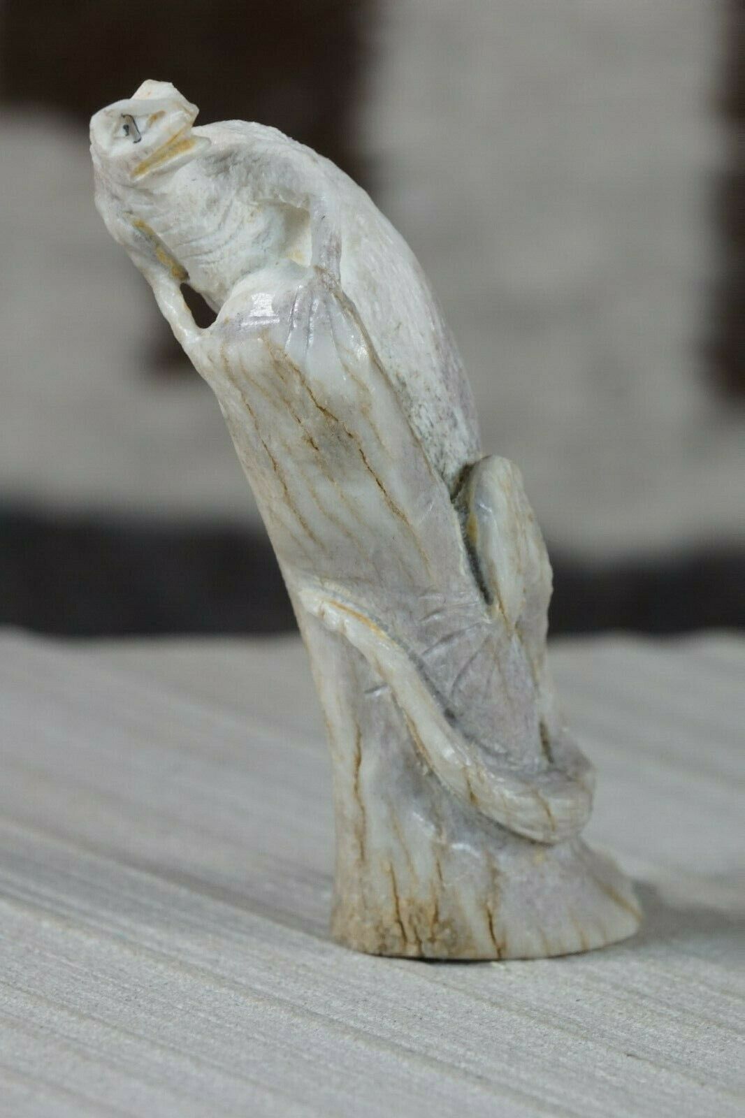 Iguana Zuni Fetish Carving - Lewis Malie - High Lonesome Trading