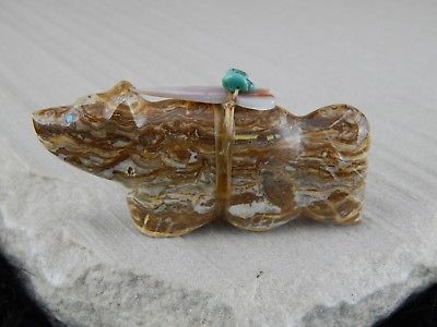 Bear Zuni Fetish Carving - Daphie Quam - High Lonesome Trading