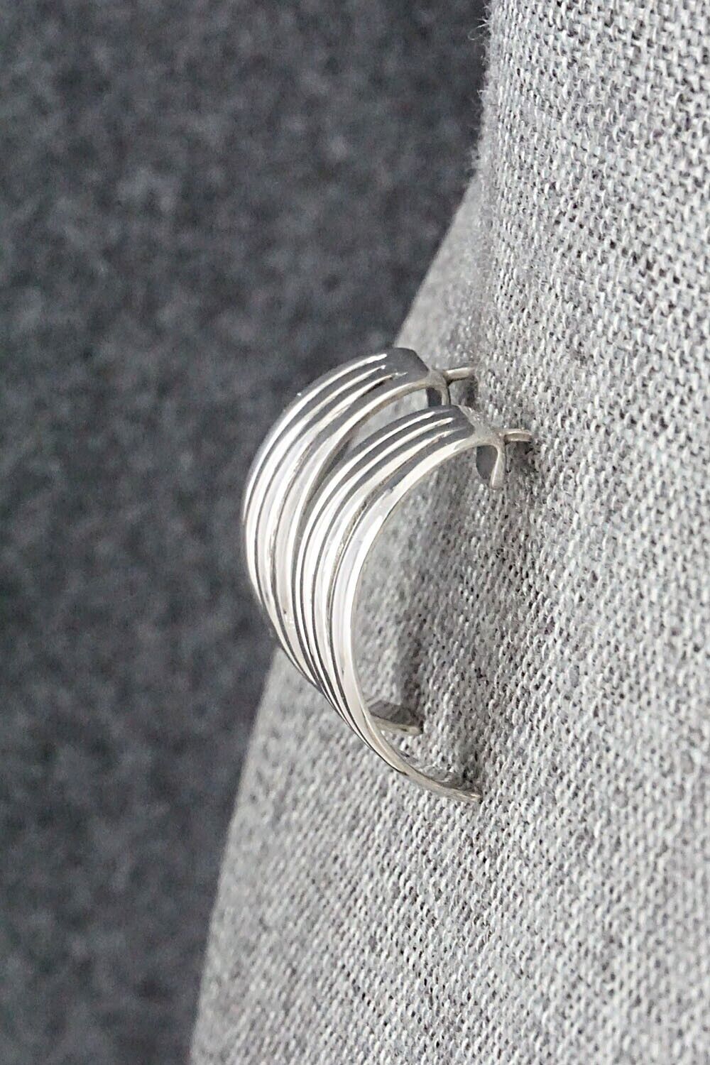 Sterling Silver Earrings - James Bahe