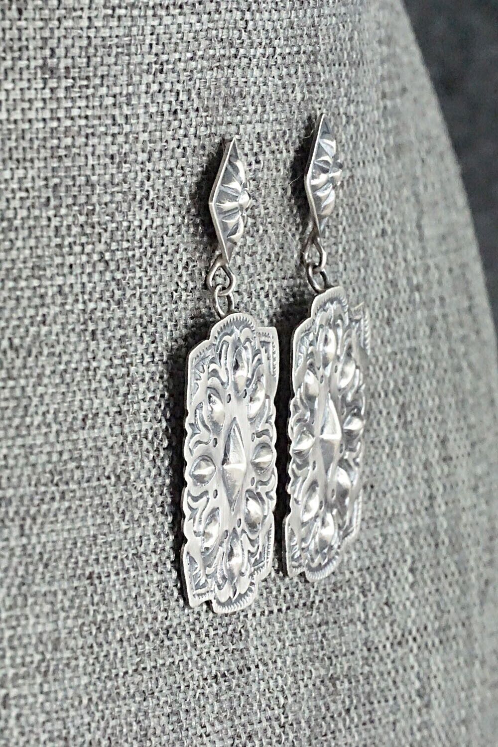 Sterling Silver Earrings - Terry Charlie