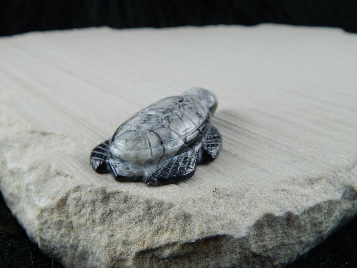 Turtle Zuni Fetish Carving - Kenny Cheama - High Lonesome Trading