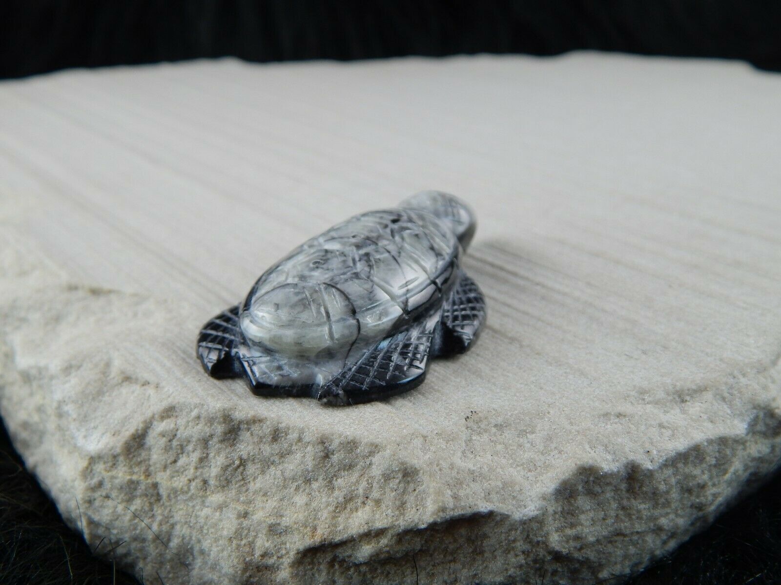 Turtle Zuni Fetish Carving - Kenny Cheama - High Lonesome Trading