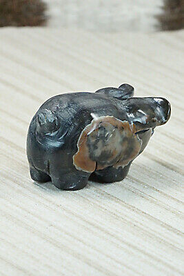 Pig Zuni Fetish Carving - Stanton Hannaweeke