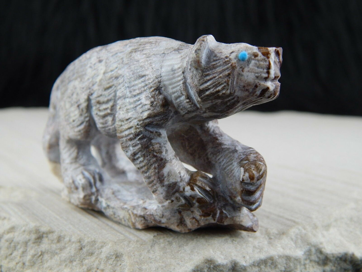 Bear Zuni Fetish Carving - Derrick Kaamasee - High Lonesome Trading