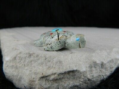 Turtle Zuni Fetish Carving - Kevin Quam - Zuni Turtle Carving - High Lonesome Trading