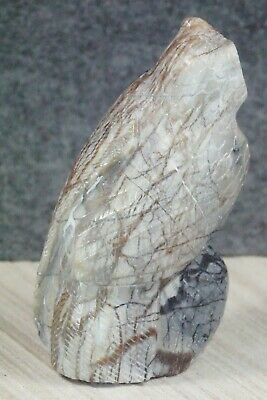 Owl Zuni Fetish Carving - Derrick Kaamasee