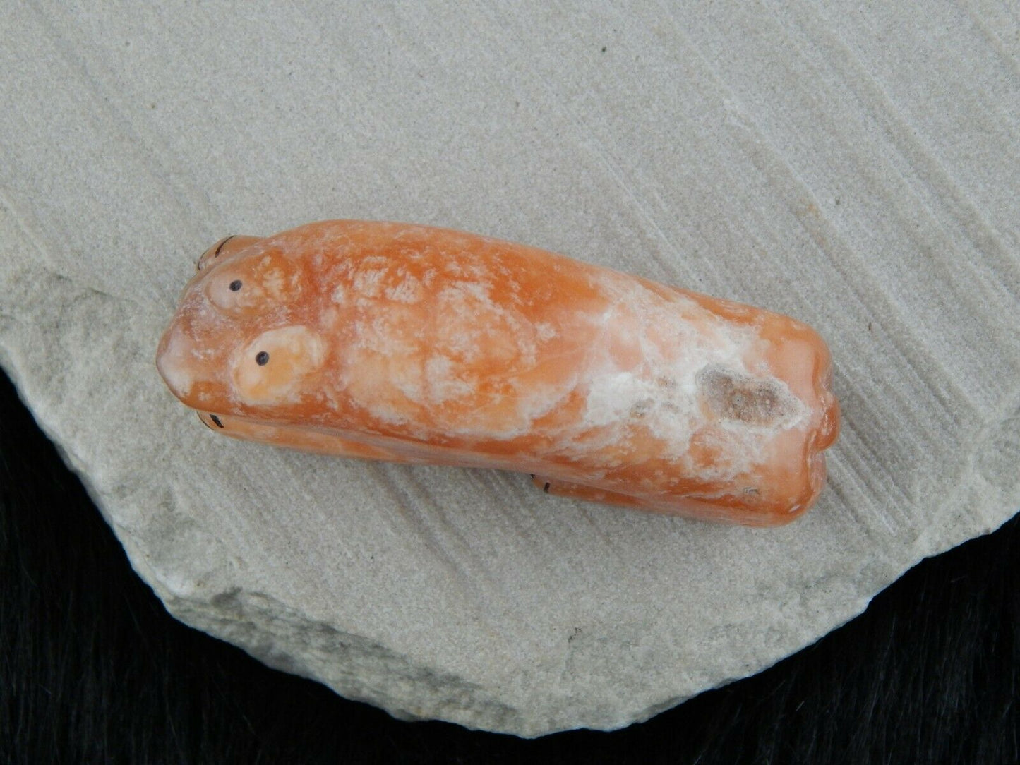 Bear Zuni Fetish Carving - Rickson Kallestewa - High Lonesome Trading