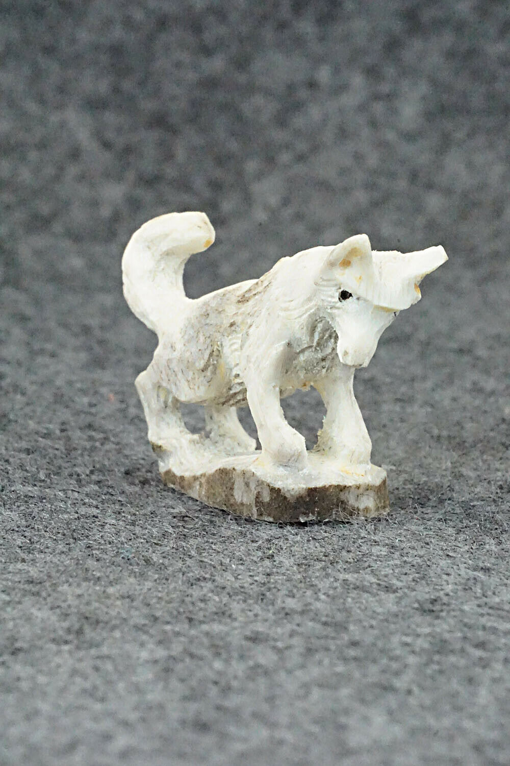 Wolf Zuni Fetish Carving - Lewis Malie Jr.