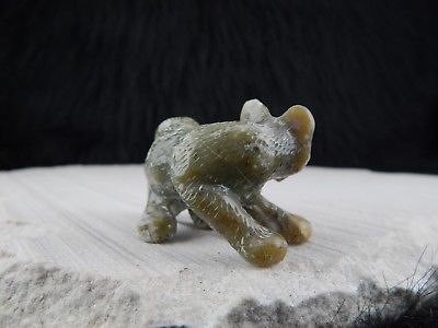 Mountain Lion Zuni Fetish Carving - Wilfred Cheama - High Lonesome Trading