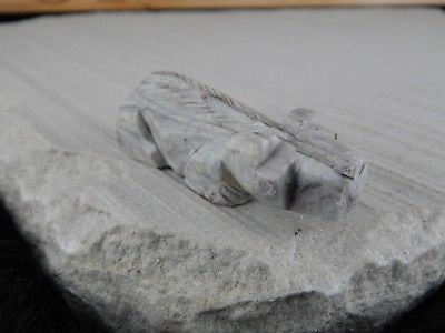 Bear Zuni Fetish Carving - Native American - High Lonesome Trading