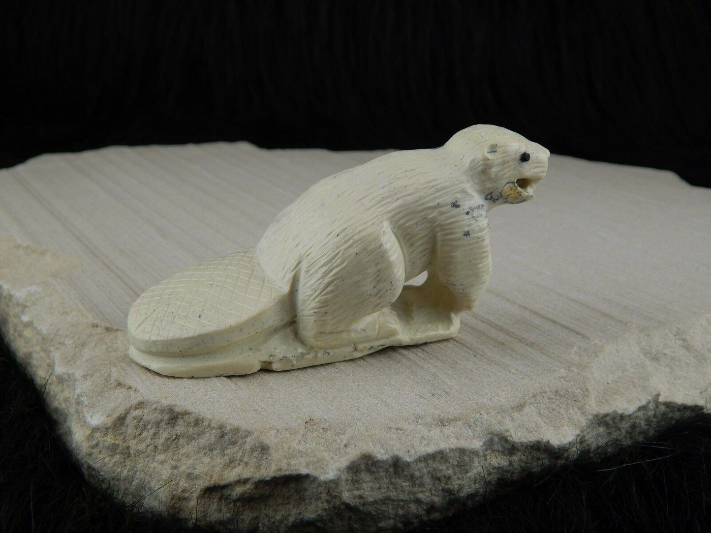 Beaver Zuni Fetish Carving- Derrick Kaamasee - High Lonesome Trading