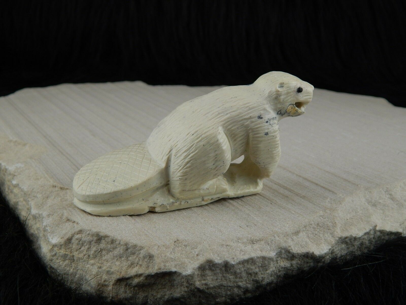 Beaver Zuni Fetish Carving- Derrick Kaamasee - High Lonesome Trading