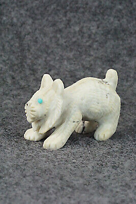 Bobcat Toad Zuni Fetish Carving - Wilfred Cheama