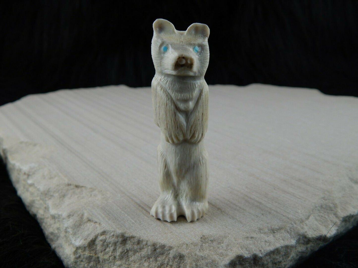 Bear Zuni Fetish Carving - Maxx Laate - High Lonesome Trading
