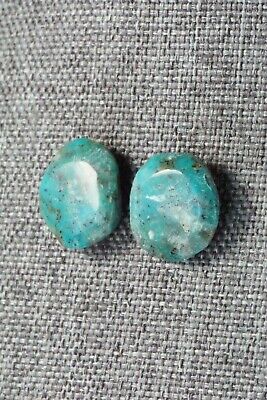 Turquoise & Sterling Silver Earrings - Joann Garcia