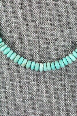 Turquoise & Sterling Silver Necklace - Navajo