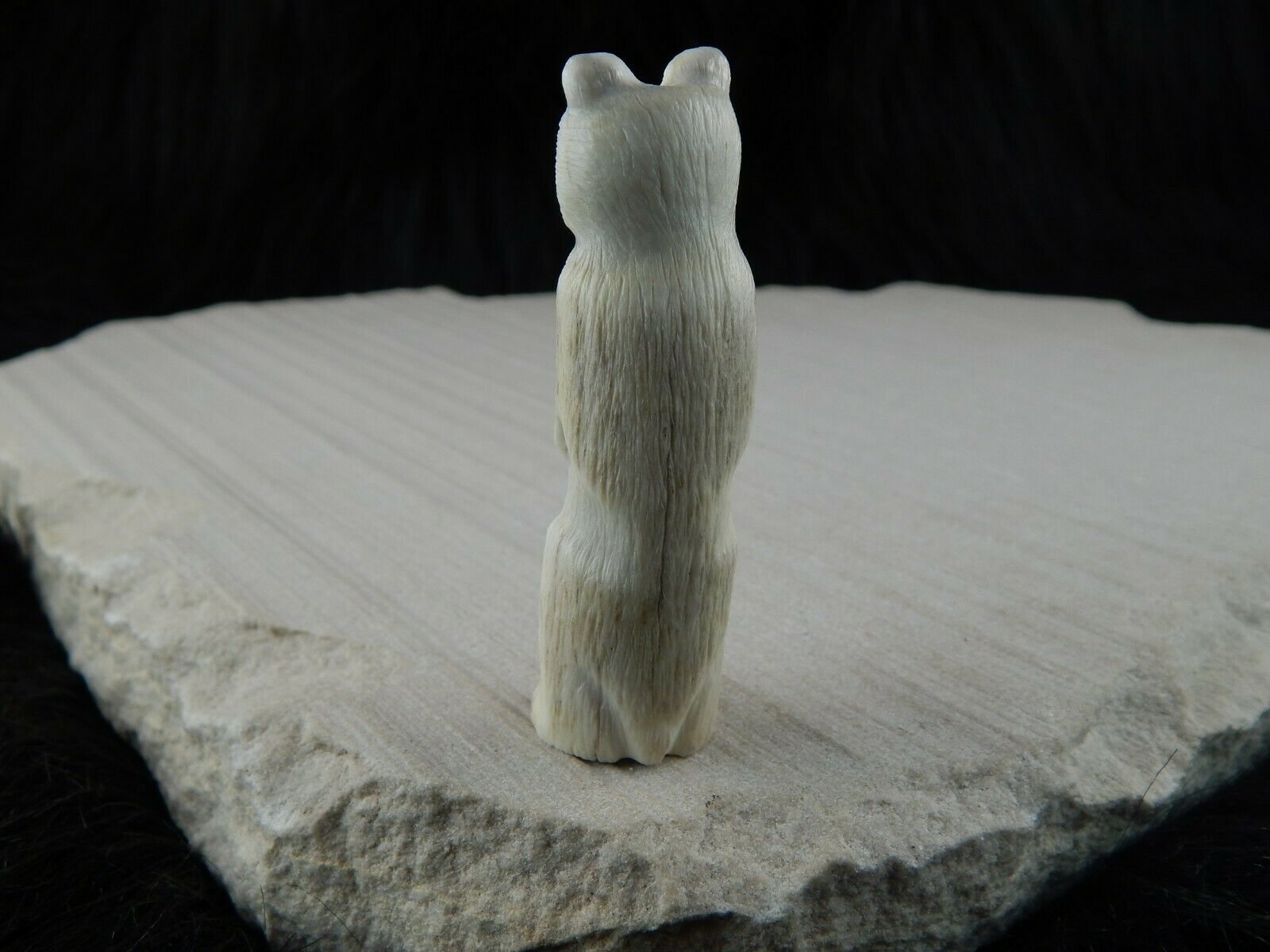 Bear Zuni Fetish Carving - Maxx Laate - High Lonesome Trading