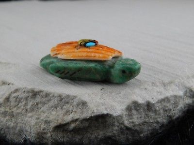 Turtle Zuni Fetish Carving - Darrin Boone - High Lonesome Trading