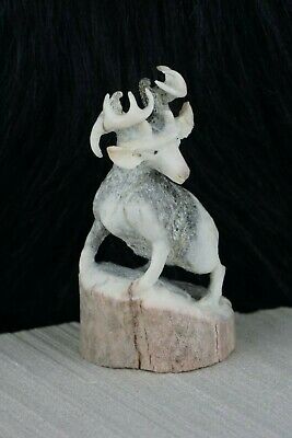 Deer Zuni Fetish Carving - Lewis Malie Jr - High Lonesome Trading