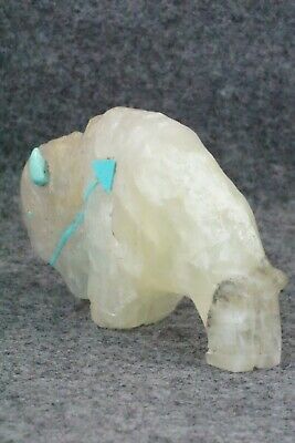 Buffalo Zuni Fetish Carving - Kevin Quam