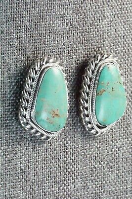 Turquoise and Sterling Silver Earrings - Sharon McCarthy