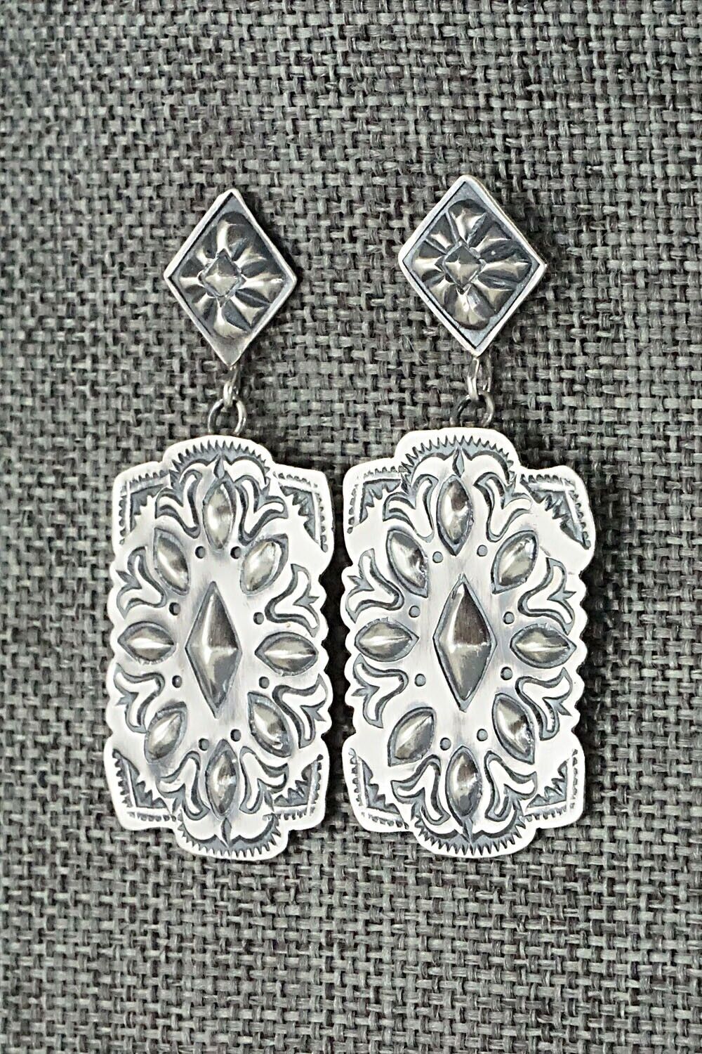 Sterling Silver Earrings - Terry Charlie