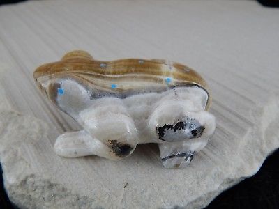Frog Zuni Fetish Carving - Nelson Yatsattie - High Lonesome Trading