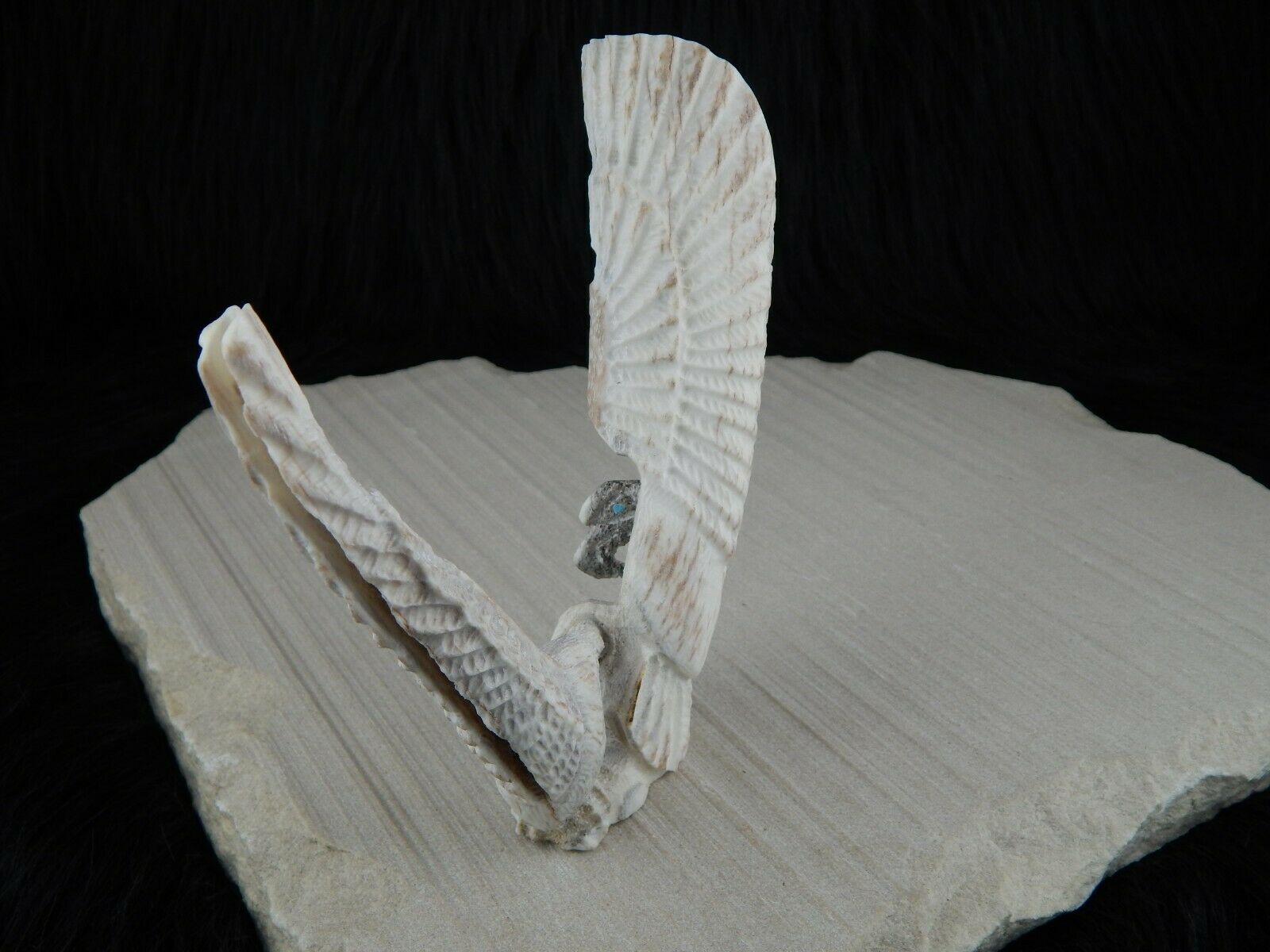 Eagle Zuni Fetish Carving - Jerrold Lahaleon - High Lonesome Trading