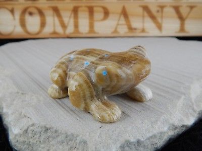 Frog Zuni Fetish Carving - Nelson Yatsattie - High Lonesome Trading