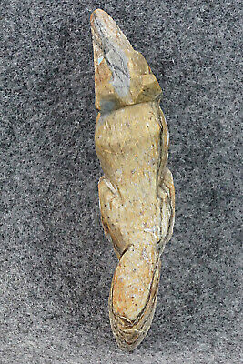 Wolf Zuni Fetish Carving - Tony Mackel