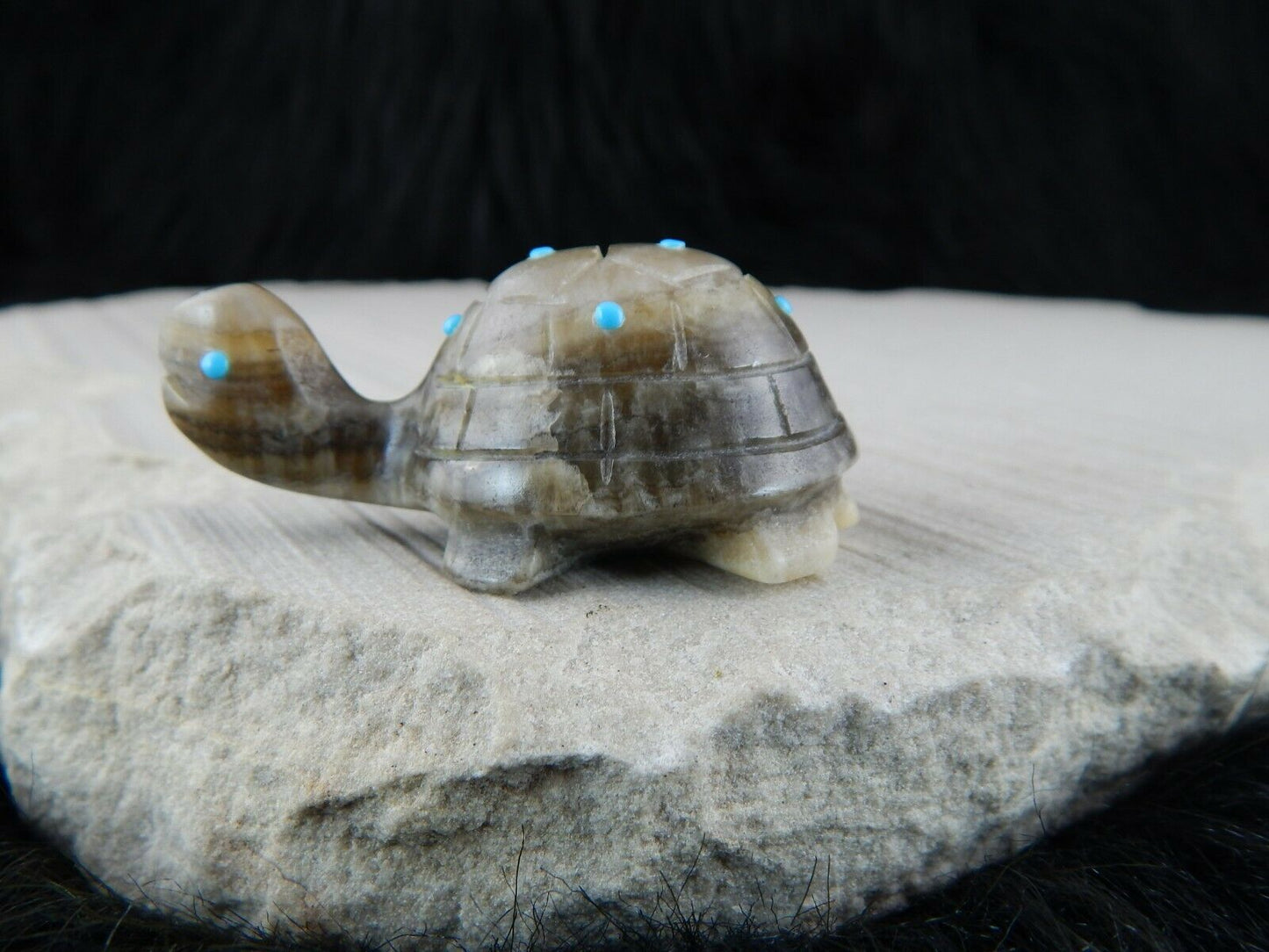 Turtle Zuni Fetish Carving - Ronnie Lunasee - High Lonesome Trading