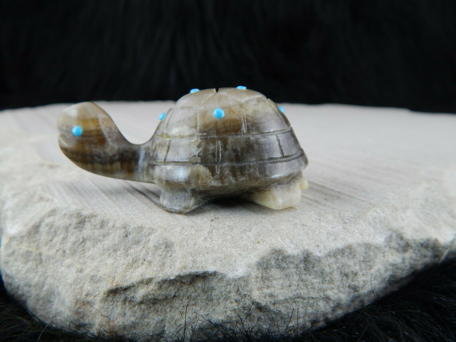 Turtle Zuni Fetish Carving - Ronnie Lunasee - High Lonesome Trading